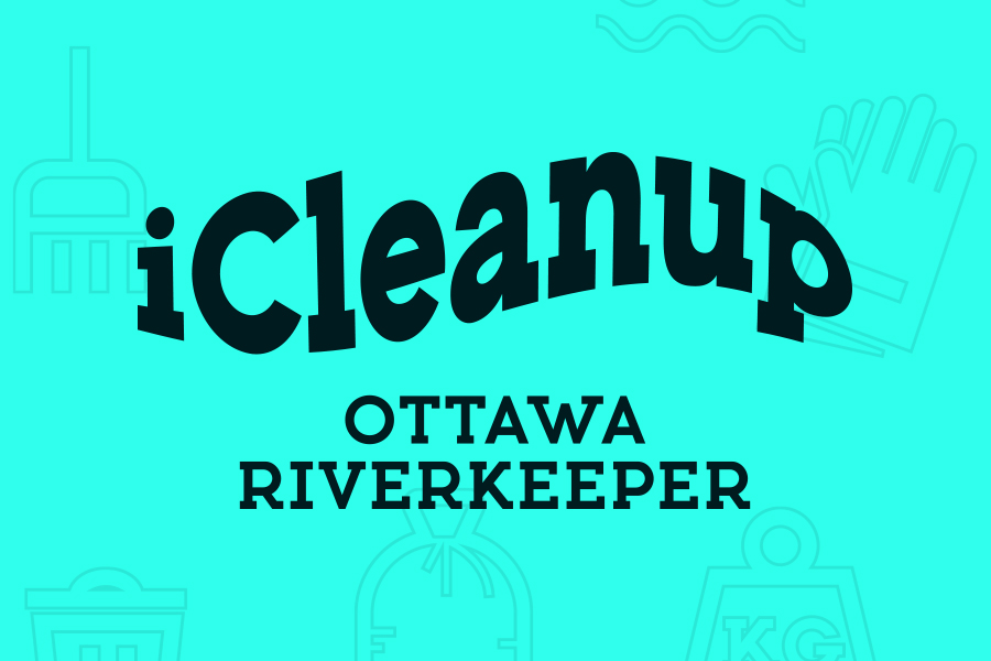 iCleanup App